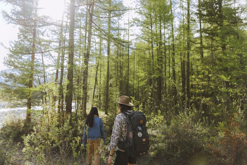 Par hikinga kroz osunčanu šumsku stazu