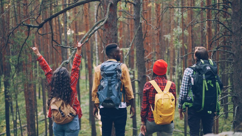 Mladi raznoliki prijatelji hikinga i istraživanja šume