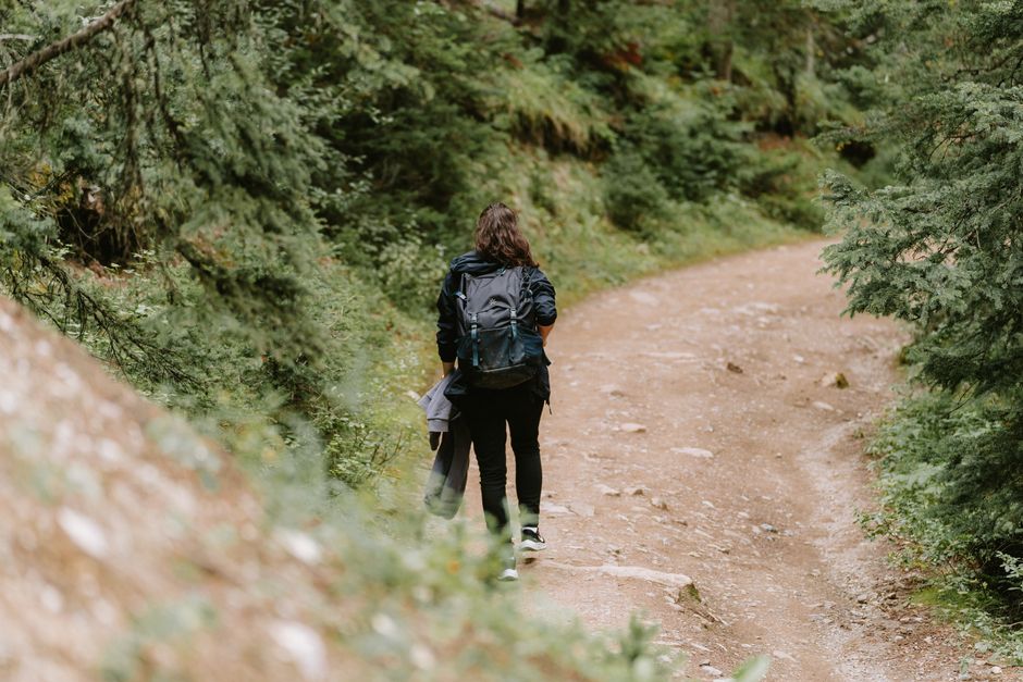 Žena hikinga s ruksakom na scenskoj šumskoj cesti
